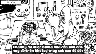 Top 7 Vương Quốc Kì Lạ Trong One Piece #17- 4