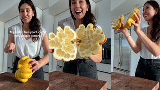 A big lemon that gives you goosebumps