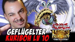 Ich BESCHWÖRE den ULTIMATIVEN KURIBOH in Yu-Gi-Oh!