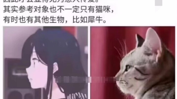 Fun fact: The model for this anime character is a rhinoceros…