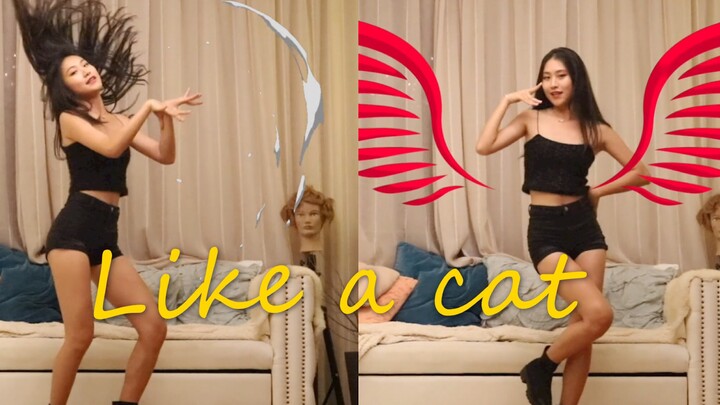 [AOA] เดินเหมือนแมวเบาๆ แบบน่ารัก – เวอร์ชันเต้นตามพร้อมเอฟเฟกต์ห้าเหยียน