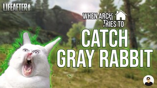 When Architect tries to Hunt Rabbit | How to Catch Gray Rabbit - LifeAfter