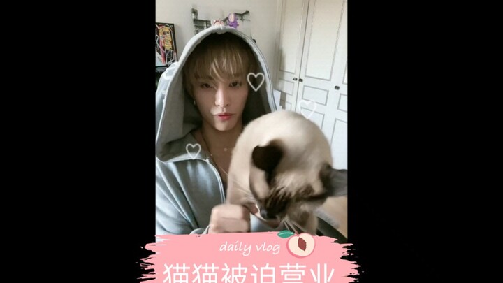 【Liu Yangyang】Mesin tikus kucing bikin siapa yang imut banget?