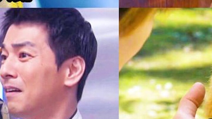 พบกับสัตว์ประหลาดตัวน้อยน่ารักทั้งห้าในอุลตร้าแมน! King Ailei กับ Gabby อันไหนน่ารักกว่ากัน?