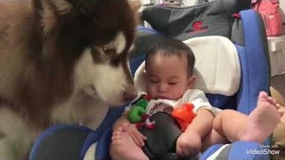 เมื่อพ่อให้พี่จาเฝ้าน้อง