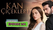 Kan Cicekleri s2 ep.244 ENG sub