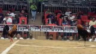 StanSid red with white streamers, 1F in 1st Bakal sa Bakal in Sta Monica, May 2024