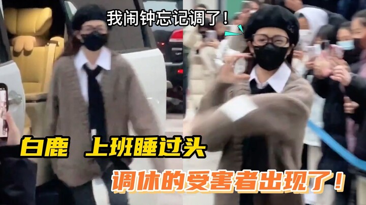 Bai Lu kesiangan saat bekerja, dan korban hari libur pun muncul!
