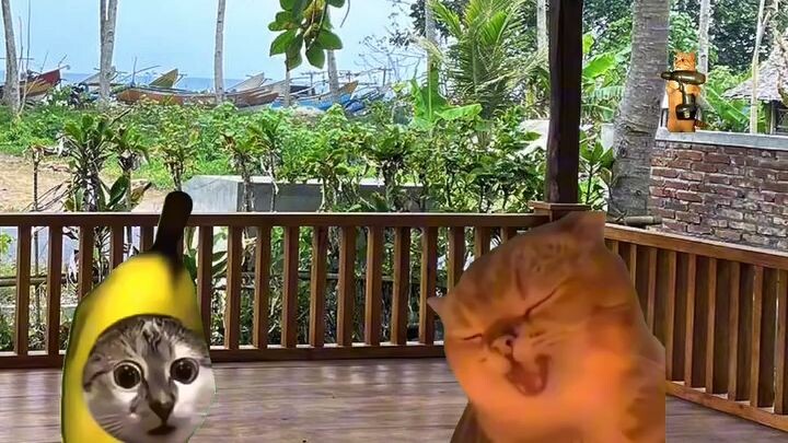 alasan laki-laki belum menikah.