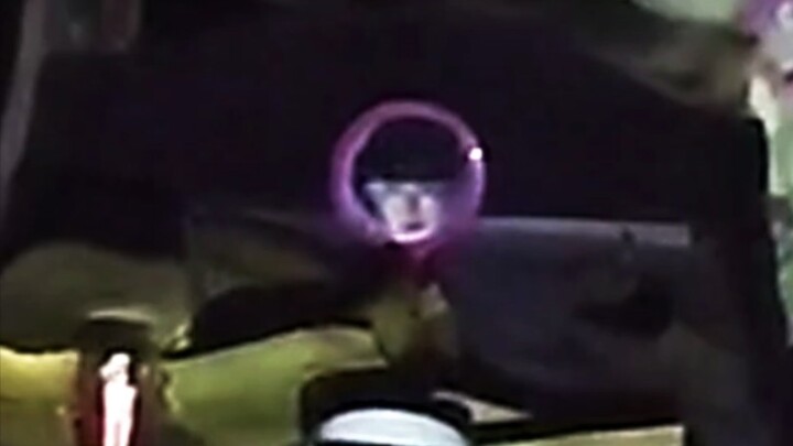 Outdoor Adventure: Little Dragon’s Abandoned Life at the Terminal, a Cute Hat Appears in the Mirror 