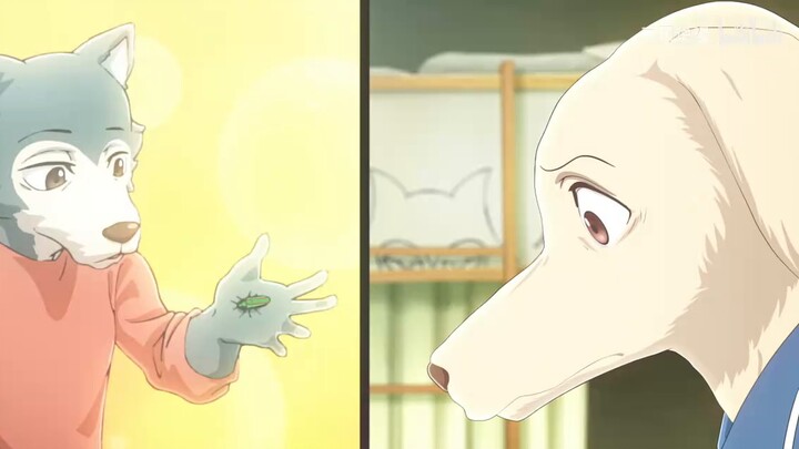 This world is so strange. The wolf fell in love with the rabbit, but the rabbit secretly had sex wit