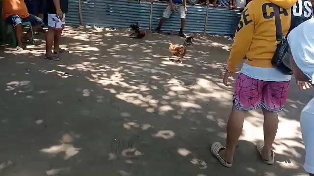Laki ni bulik hindi nakabalik