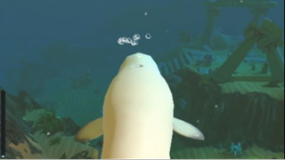 Hành trình tiến hóa Cá Voi nhà Táng từ cá con đến Cá gian hồ bảo kê cả Đại Dương