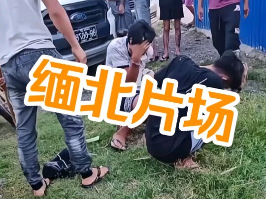 每日一打——缅北片场，木棍子一顿暴击