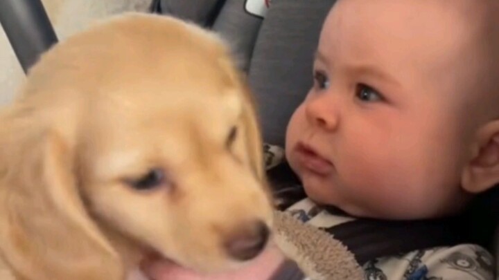 Ketika suamimu memberikan seekor anak anjing mungil sebagai hadiah untuk bayi kalian yang baru lahir