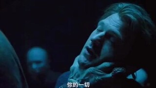 血族人大boss的富婆快乐指了解一下