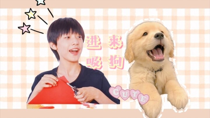 【Gia tộc TF‖Trương Trạch Vũ】Vào đây mà cưng chó ♡