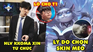 Update LMHT: HLV kkOma xin từ chức, Lý do EDG chọn skin mèo Yuumi, Wolf lo cho Faker và T1