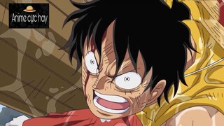 Luffy trở lại cực ngầu #Animecuchay #schooltime