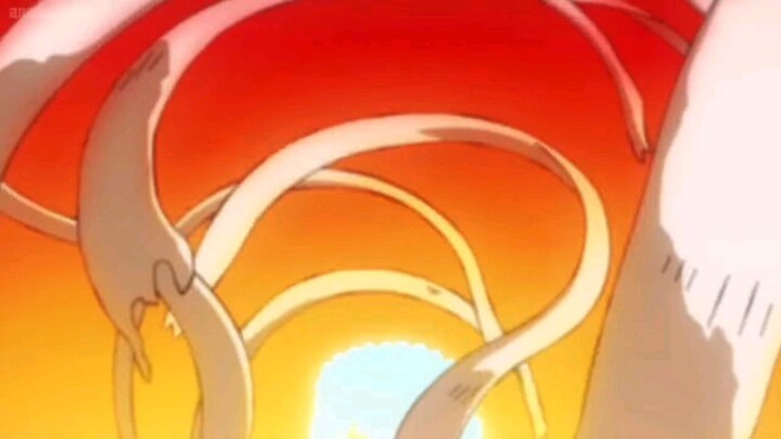 sanji & zoro vs. queen & king