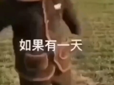 “The 7-Minute Series Harder to Find Than the Full Film” — I ended up crying while watching on Douban