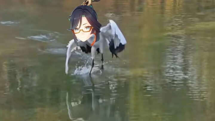 [Genshin Impact] Xianyun: Watch closely—this is a one-time lesson!