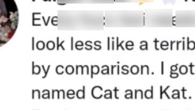 Những bức ảnh mới về những chú chó con của Fulgur! Siêu dễ thương!