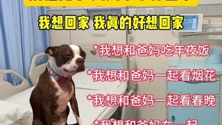 儿子别怕 妈妈来带你回家