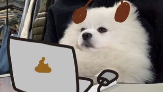 Bantu tidur | Teman belajar | Pengalaman imersif: Penyiar belajar Anda sudah online! Bangunlah! Gen 