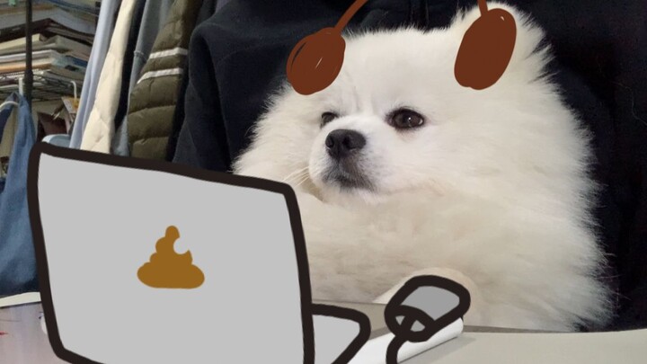 مساعد على النوم | مرافق للدراسة | تجربة غامرة: مذيع دراستك قد انطلق بالفعل! استيقظ يا جين الطالب الج