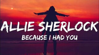 Because I Had You - Allie Sherlock Acoustic  Cover (Lyrics)