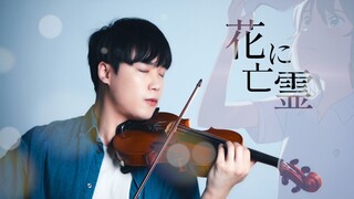 『花に亡霊(花上的亡灵) / ヨルシカ(Yorushika)』 想哭的我戴上了猫的面具主题曲小提琴演奏