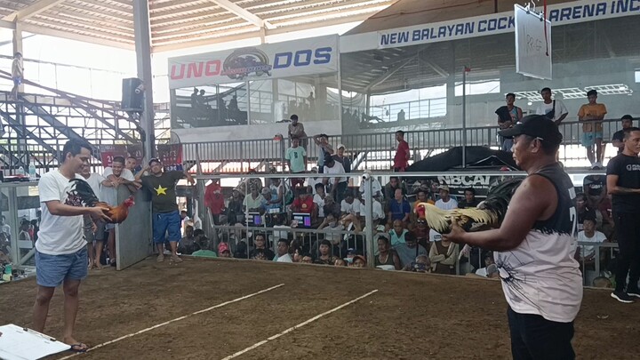 Super grey unli shuffle ( watch untill the end) fastest kill