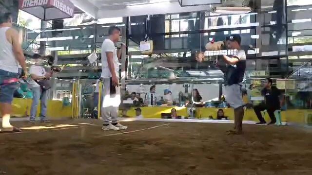 white kilso  champion 2hits