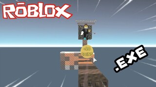 Roblox Skywars.exe