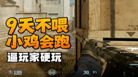 CS chicken feed doesn’t drop every week!
