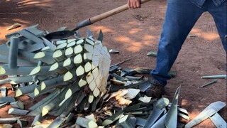 แนะนำเตกีลา