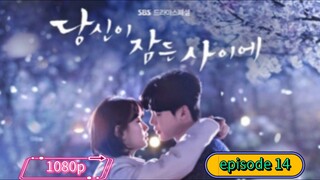 nokopirait_drama While.You.Were.Sleeping E14 SUB INDO 1080p