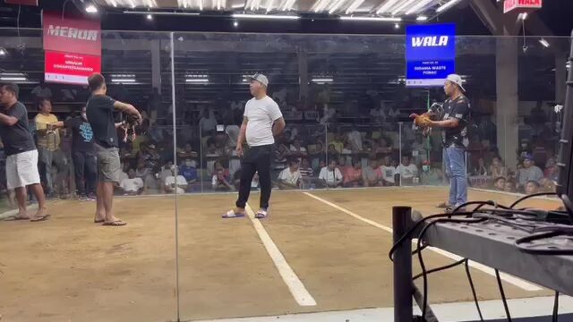 6 COCK DERBY CIRCUIT 7TH LEG STA RITA COCKPIT 4TH FIGHT WIN