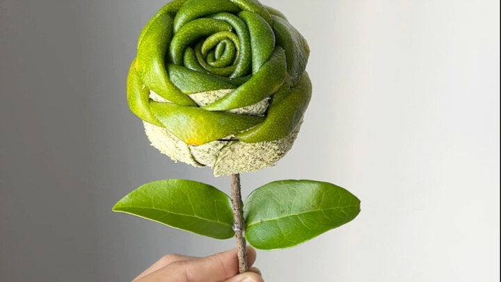 用橘子皮做一朵漂亮的玫瑰花，整个过程真是太神奇了，快跟小朋友一起来试试