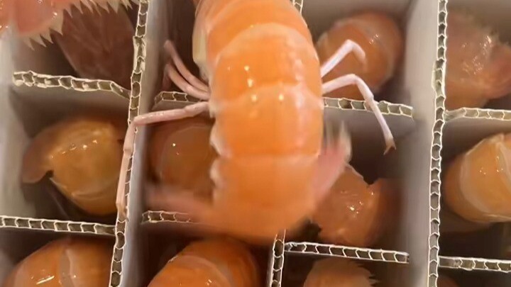 ถามหน่อยสิ กล่องกุ้งสดแบบนี้สดจริงไหม?