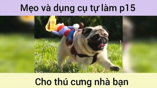 Mẹo và dụng cụ tự làm cho thú cưng p15