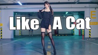 【奈子】竖屏/猫步轻俏～Like A Cat