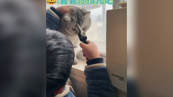 Meow: Benci manusia yang nggak punya batas!