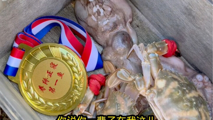 The Only Octopus That Lived a Natural Lifelong Death…