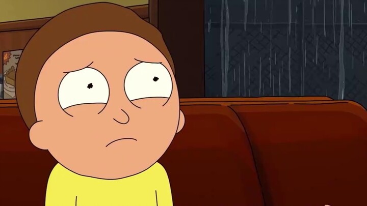 Rick and Morty (cooked meat)