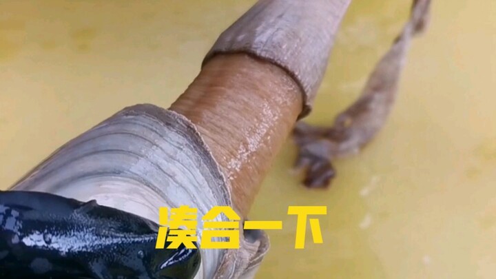 凑合着吃一顿