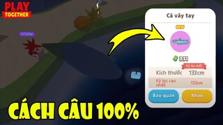 Thời Gian + Địa Điểm + Bóng Mấy? Săn Full Tất Cả Cá Hiếm Mới Thành Công 100% | Play Together