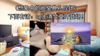 【猫meme】40w粉up主跌宕起伏的视频人生