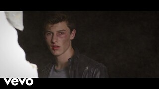 Shawn Mendes - Stitches (Official Video)